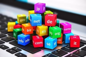 nowweb.nl-product-extra-domeinnaam-nl-be-com-net-eu-org
