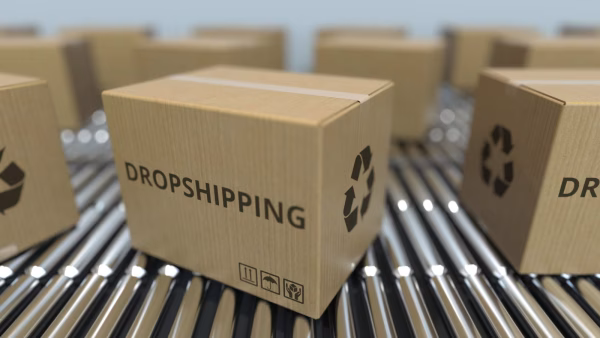 dropshipping website