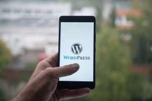 responsive website