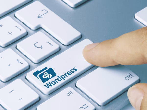 Website laten maken met WordPress