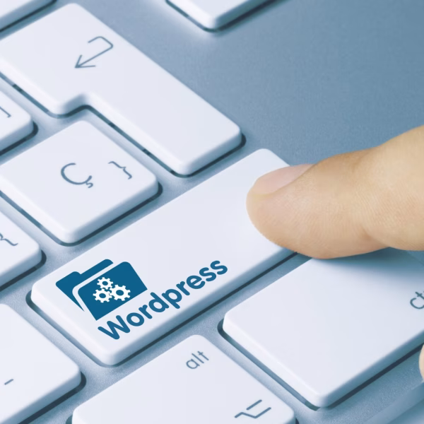Website laten maken met WordPress